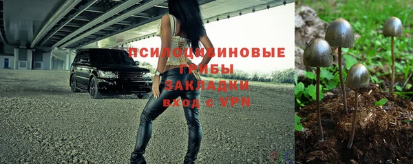 прущие крисы Балахна