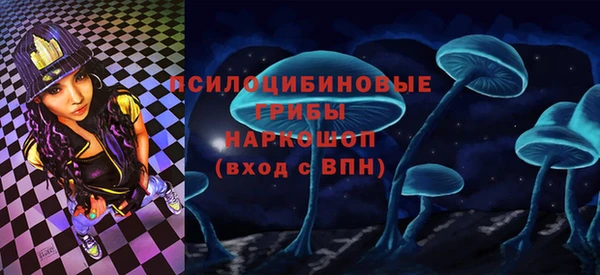 прущие крисы Балахна