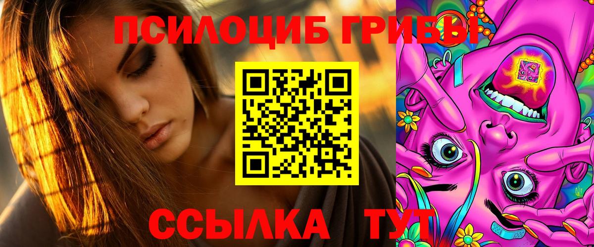 Вятские Поляны  Псилоцибиновые грибы MAGIC MUSHROOMS  Вход с VPN  Псилоцибиновые грибы мухоморы 