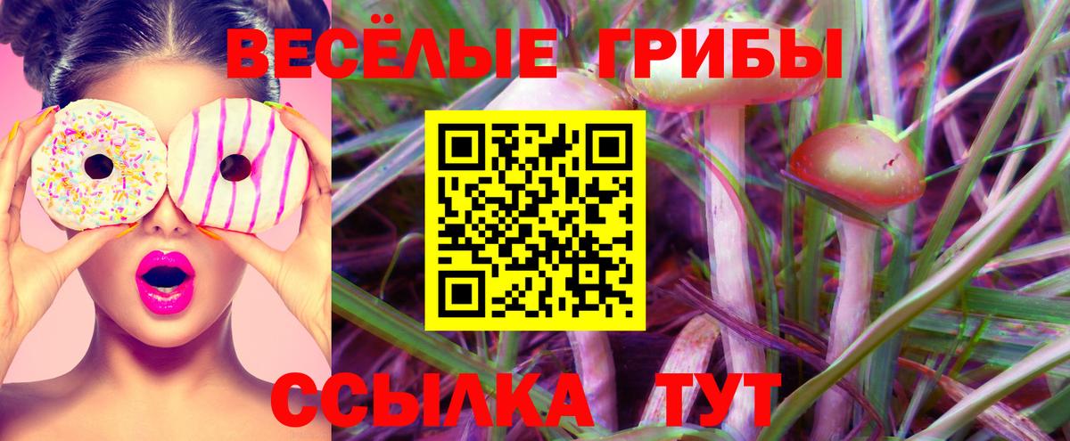 Галлюциногенные грибы Cubensis Вятские Поляны